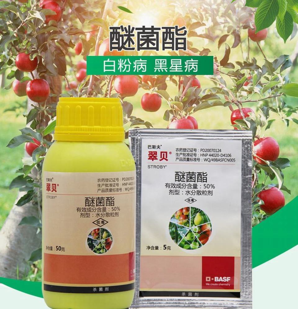 巴斯夫翠贝醚菌酯植物花卉月季黑斑白粉病锈病农药杀菌剂